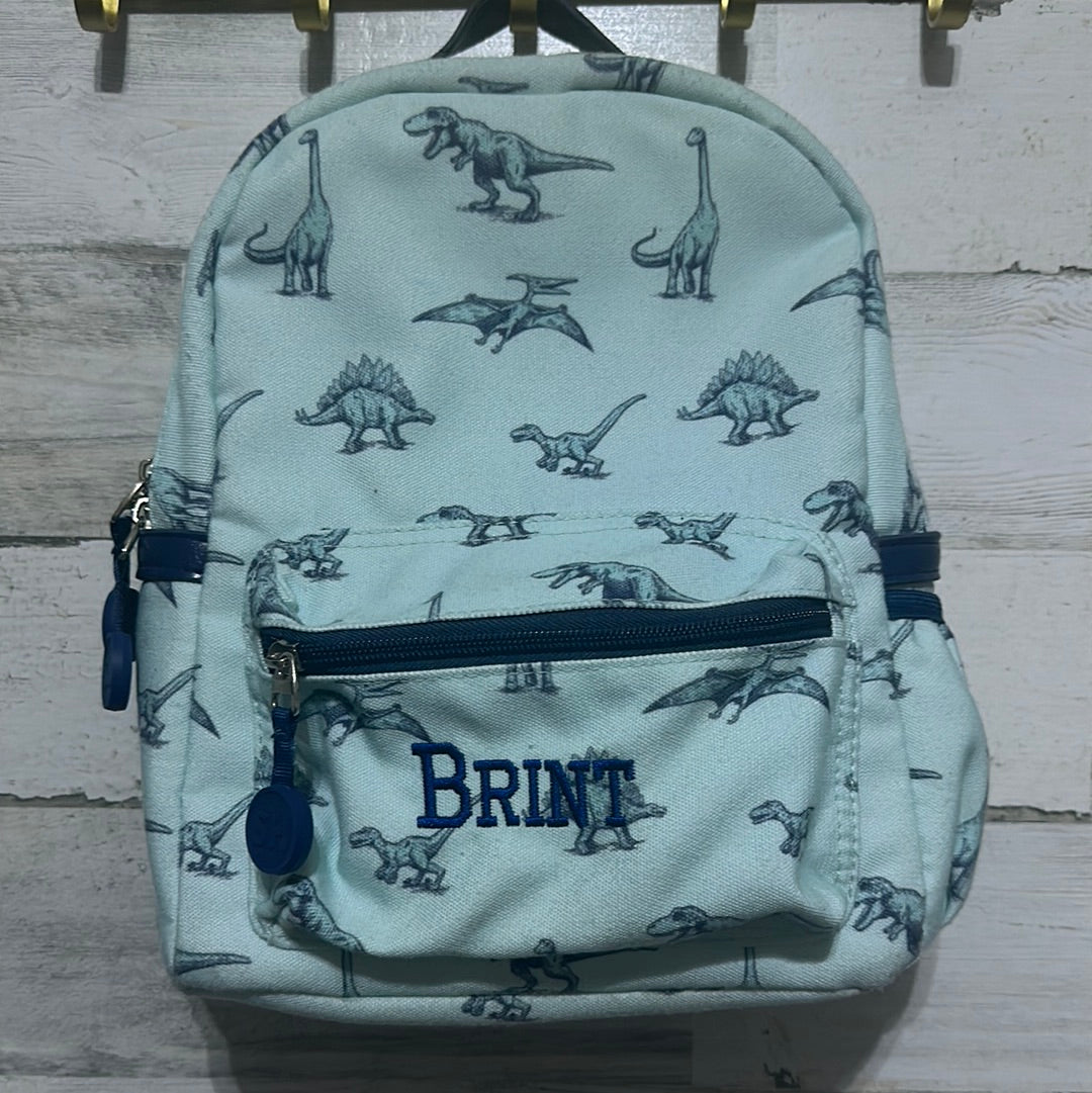 Boys Sweet Honey toddler dino backpack - embroidered with Brint - good used condition