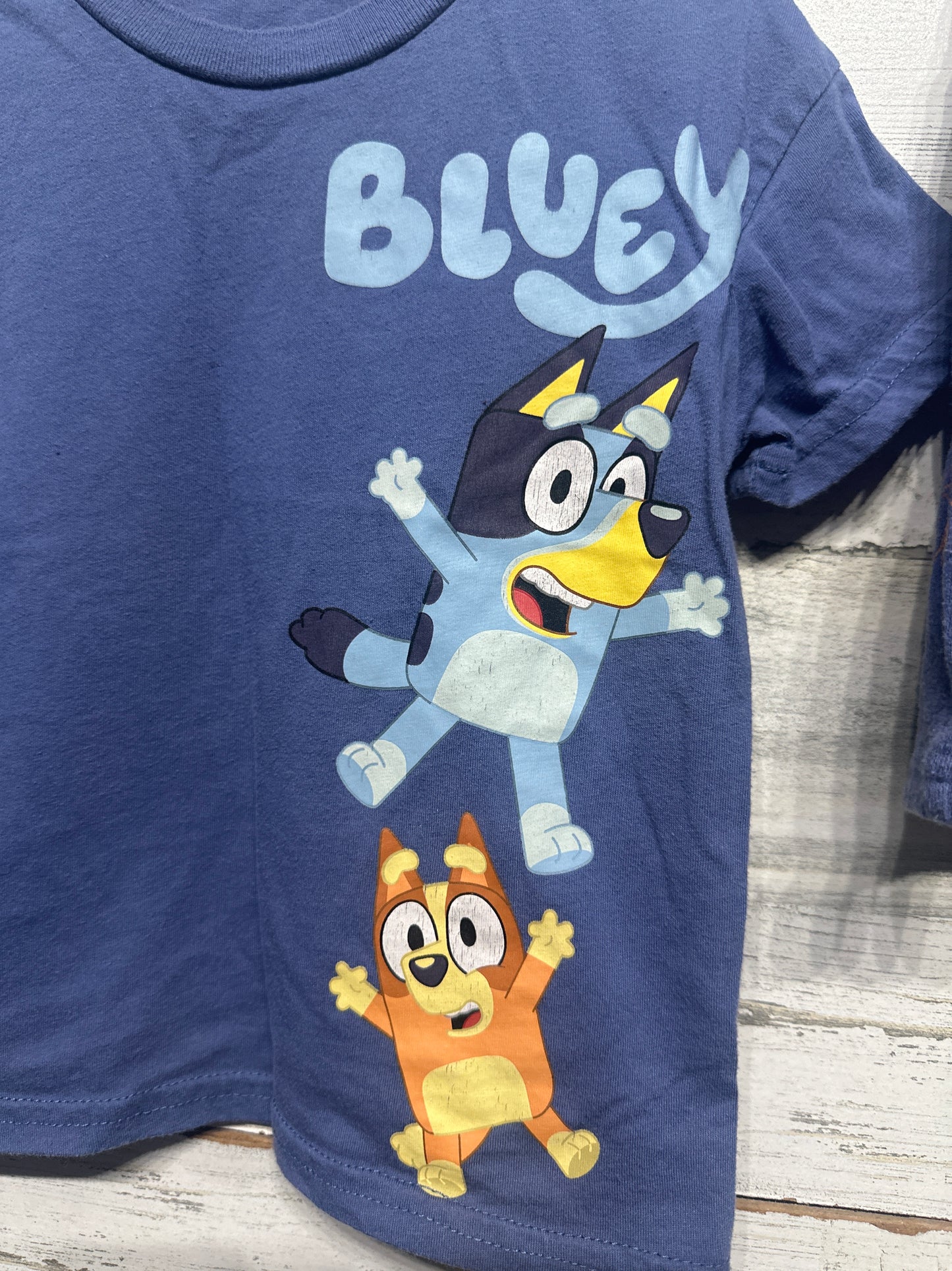 Size 3t Bluey Two Piece Outfit Set - Good Used Condition*