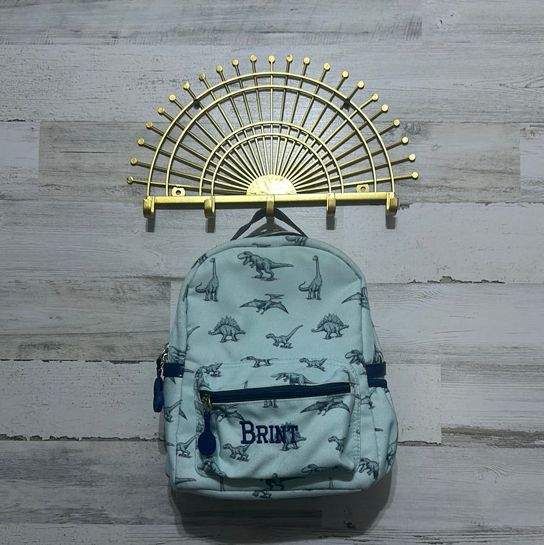 Boys Sweet Honey toddler dino backpack - embroidered with Brint - good used condition
