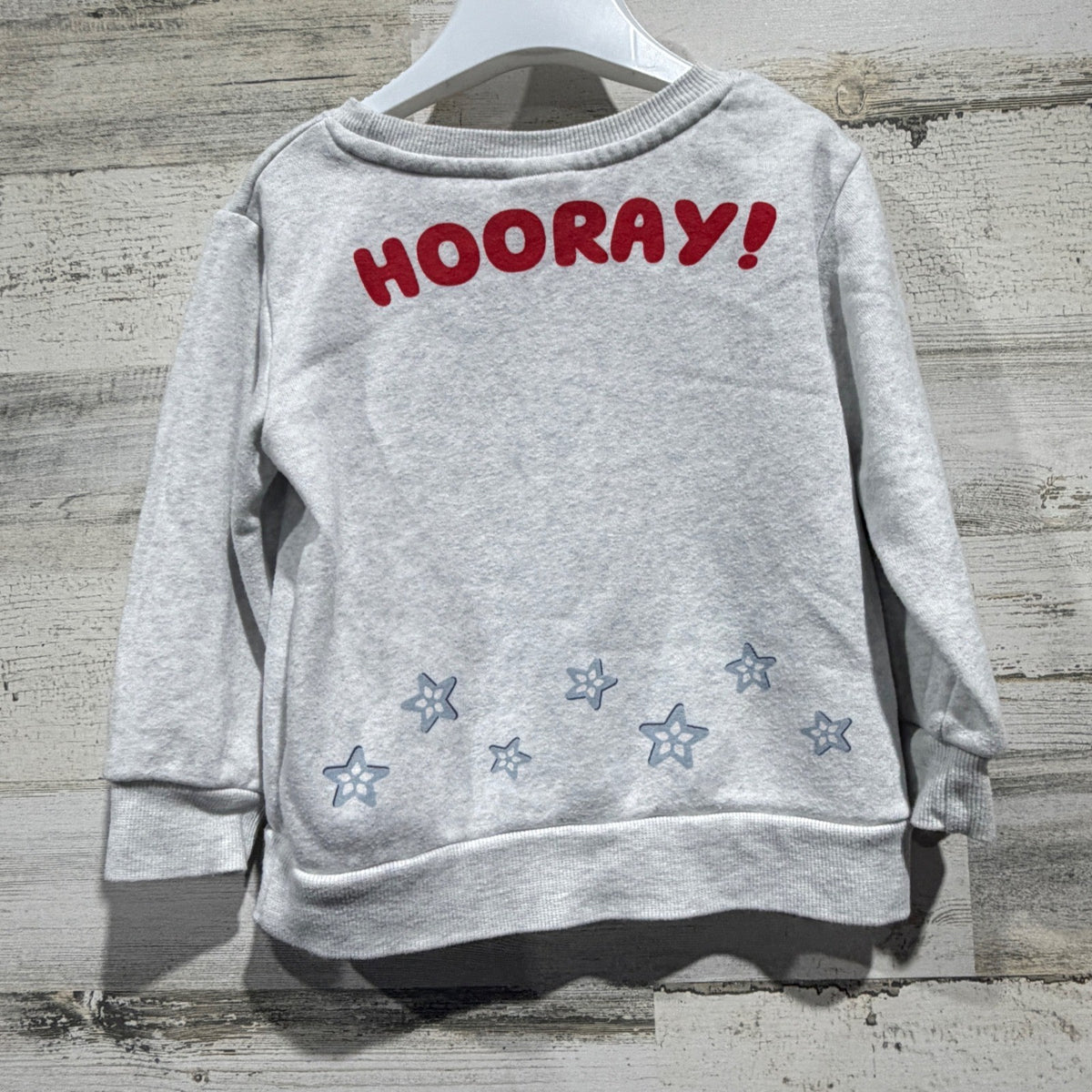 Bluey Heeler Family Sweatshirt Kids 3T Gray Cotton Blend Cartoon Hooray3
