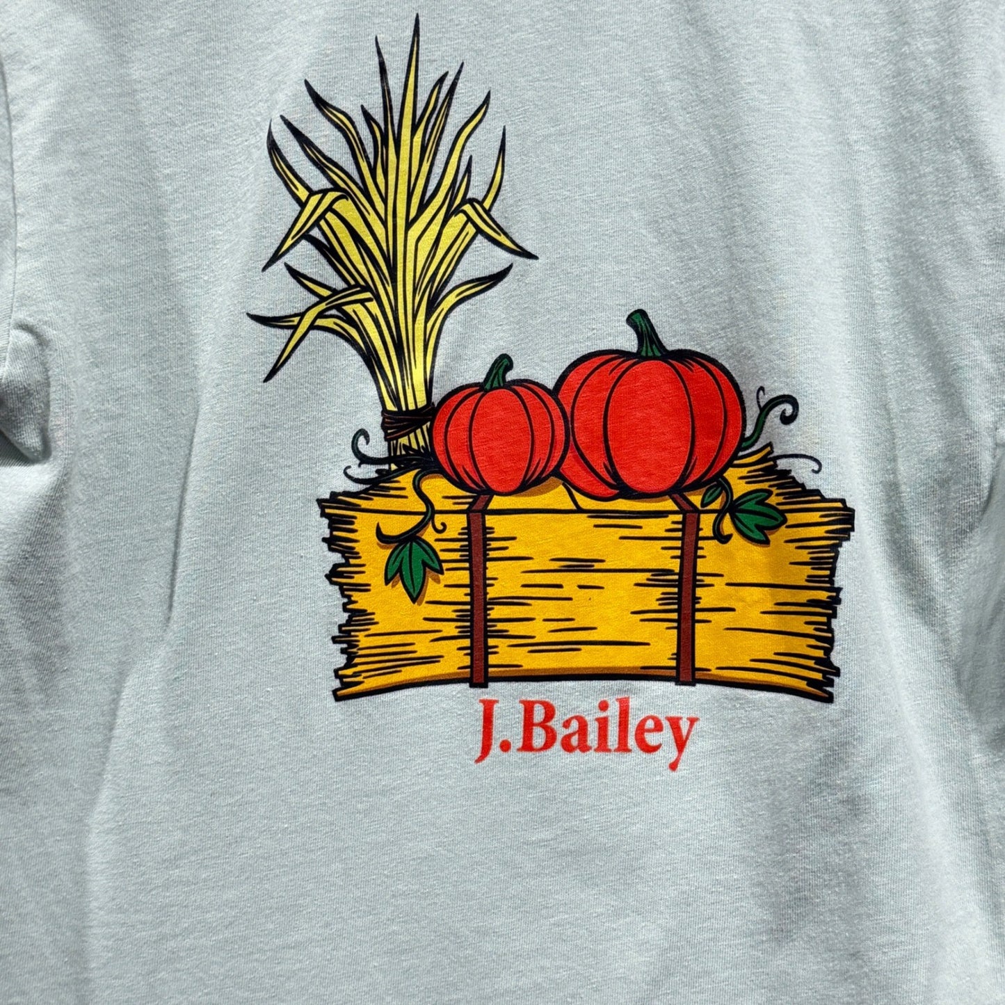 J. Bailey Long Sleeve Shirt Boys 6 Blue Pumpkin Hay Graphic Fall Prep *Flawed7