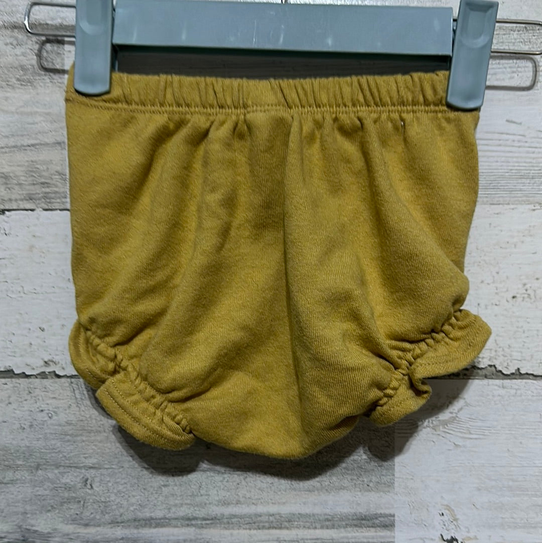 Girls Size 2/3 Lulu + Roo shorties - good used condition