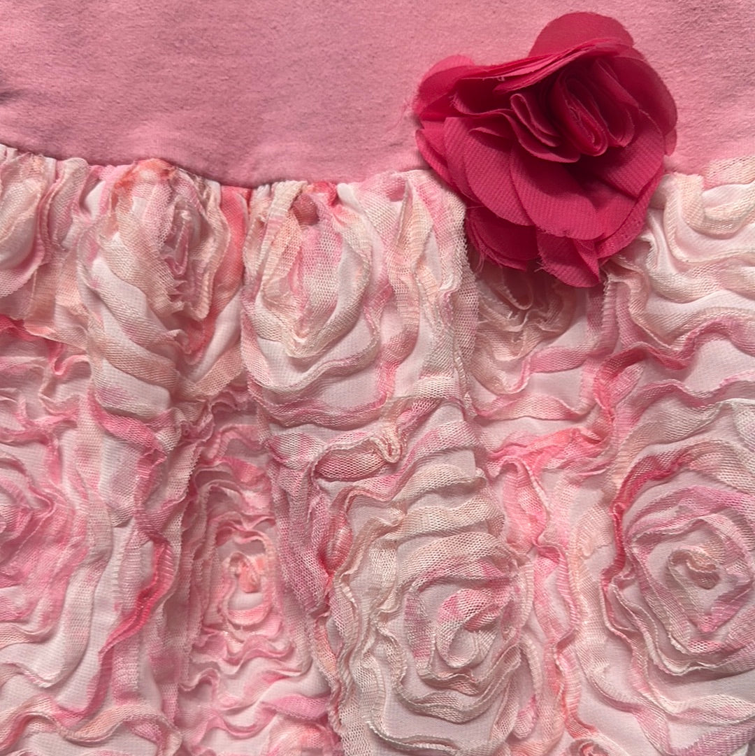Girls Size 24m Ric Rac & Ruffles Pink Tulle Rose Bubble - Good Used Condition