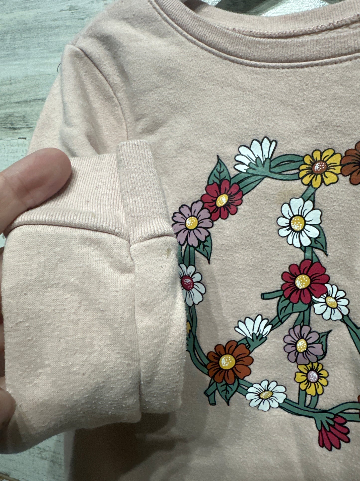Girls Size 5t Garanimals Sweatshirt Lot (2 pieces) - Play Condition**