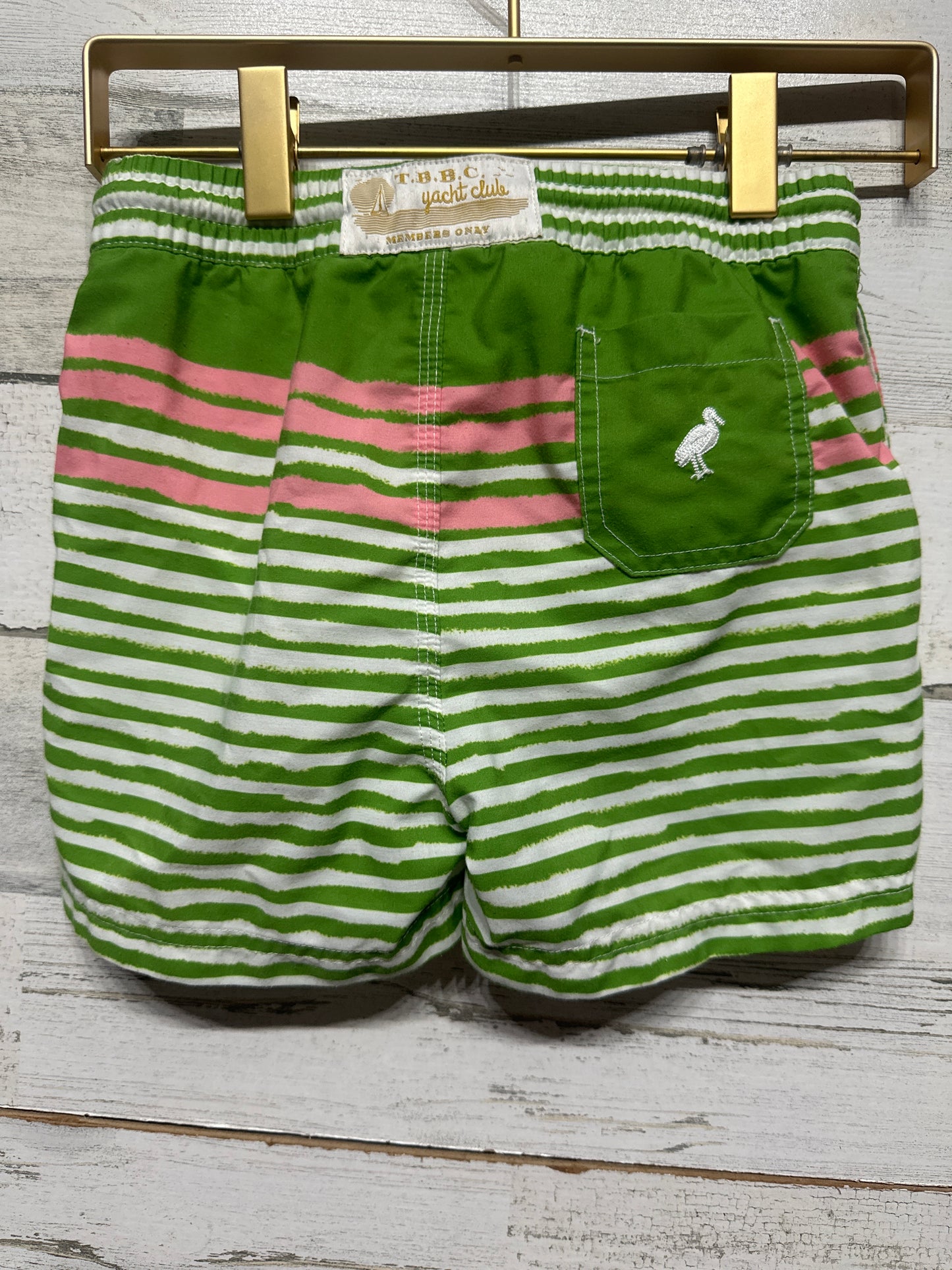 Size 4t TBBC Striped Swim Trunks - Good Used Condition