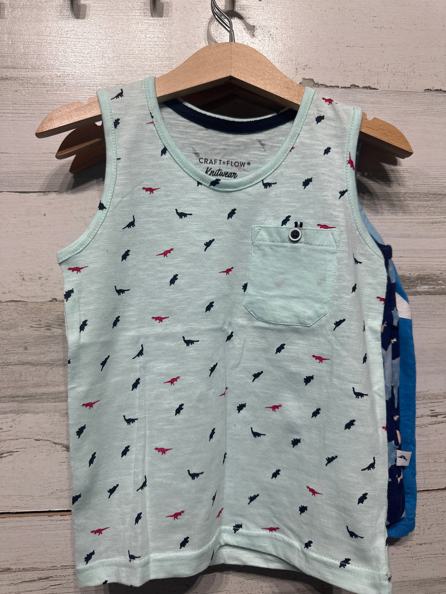 Boys Preowned Size 3-4 Sleeveless Shirt Lot - Good Used Condition