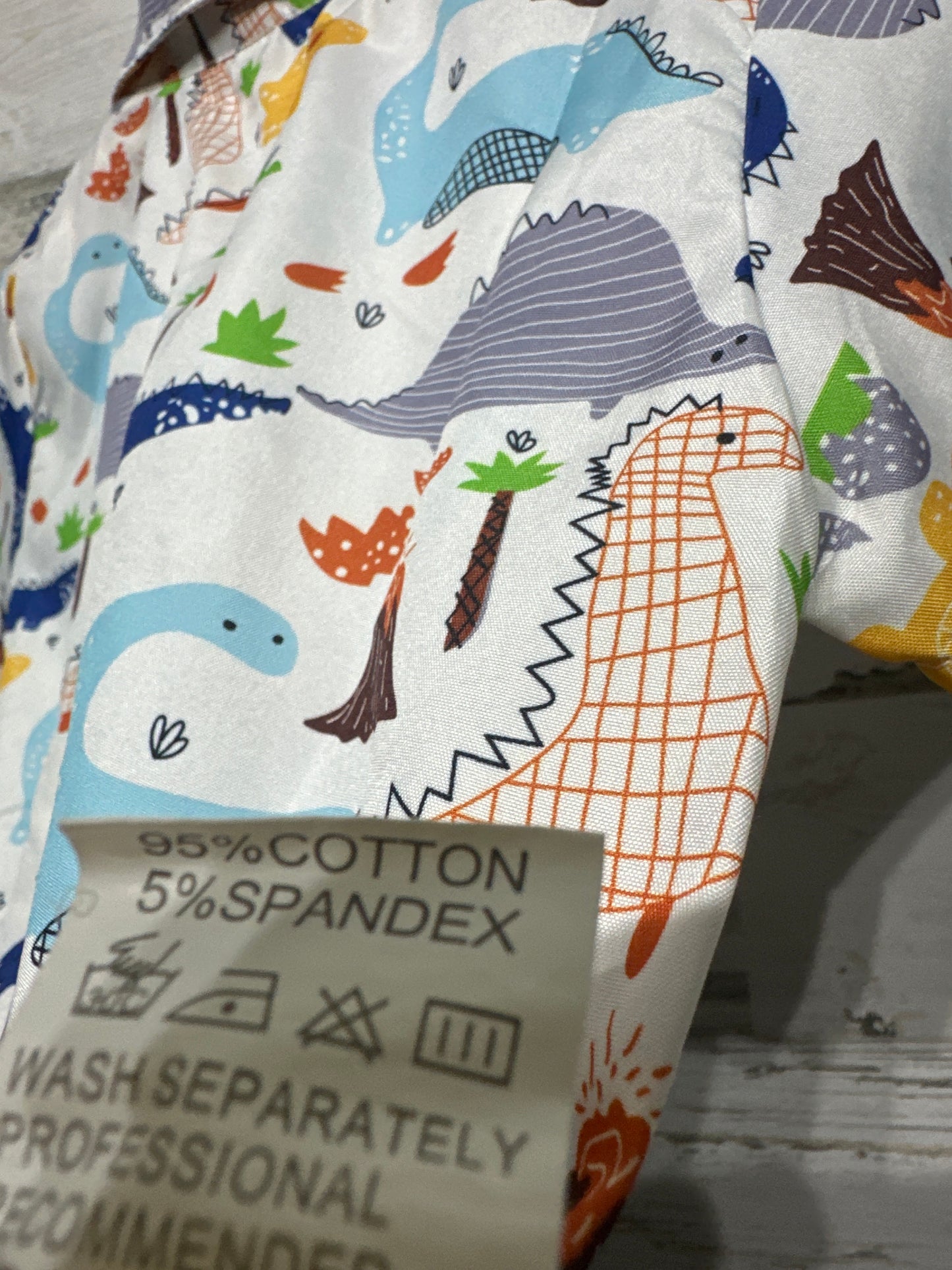 Boys Fits Like Size 4 Dino Button Up Shirt - Good Used Condition