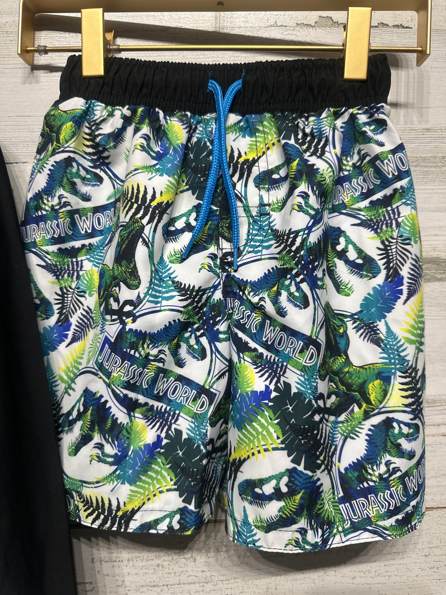 Boys Size 4t Jurassic World Swim Set - Very Good Used Condition