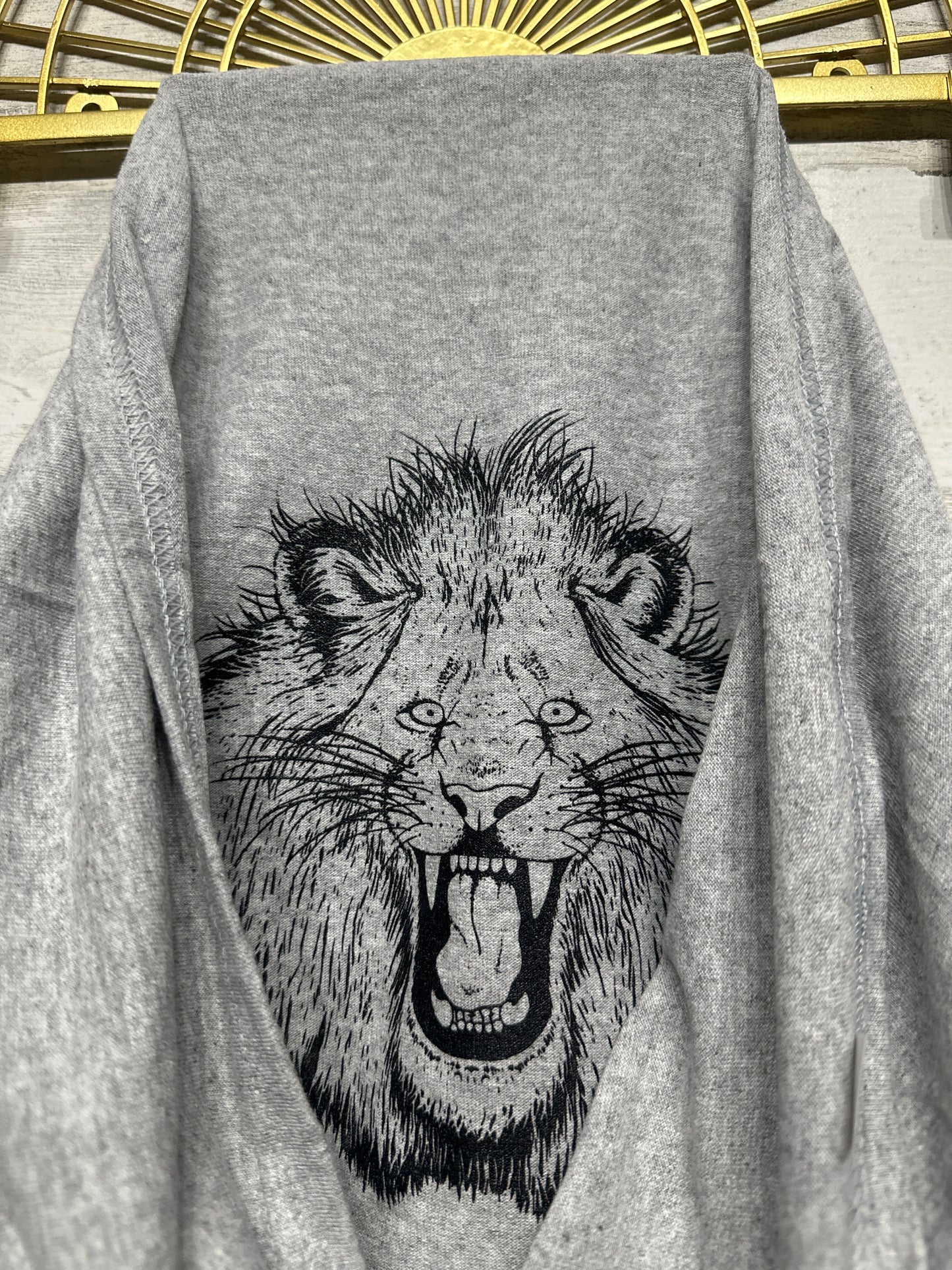 Boys Size Youth Medium (Fits Like 10/12) Ask Me About My Roar TShirt - Very Good Used Condition