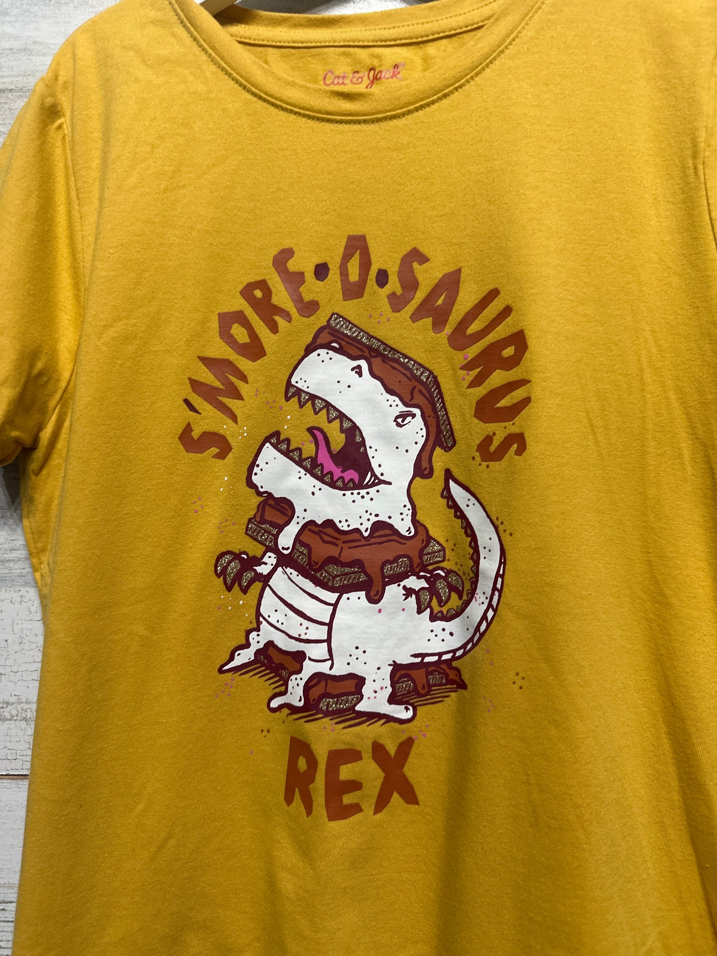 Size 10-12 Large Smore-O-Saurus Rex Outfit Set (2 Pieces) - Good Used Condition