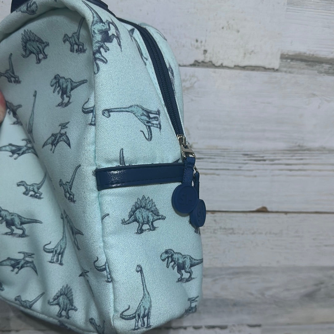 Boys Sweet Honey toddler dino backpack - embroidered with Brint - good used condition