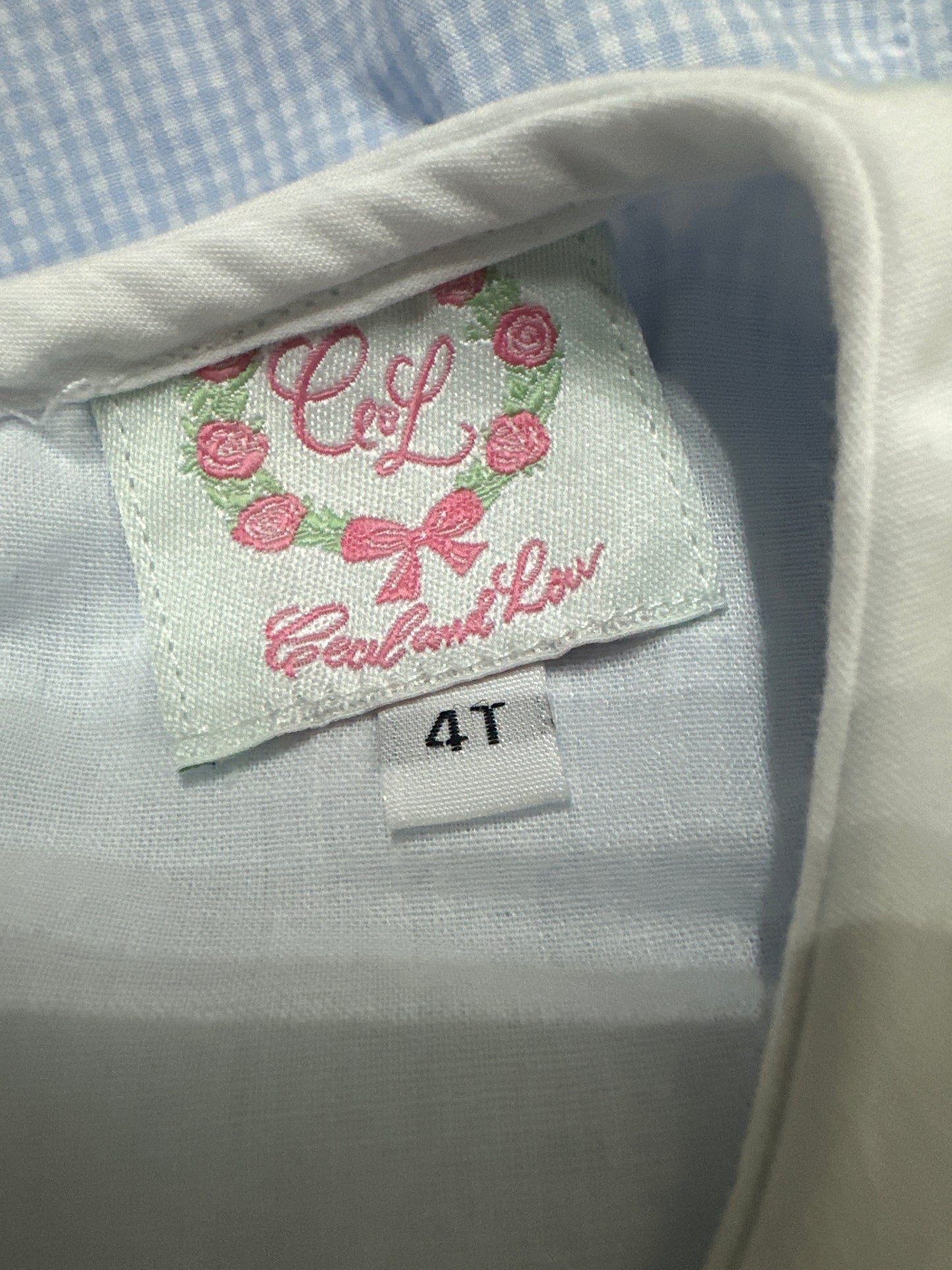 Girls Size 4t Cecil and Lou Embroidered Dress - Very Good Used Condition