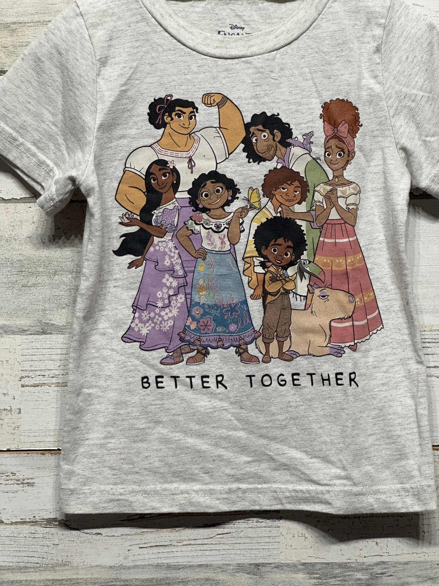 Girls Size 3t Disney Encanto Better Together Tee  - Good Used Condition