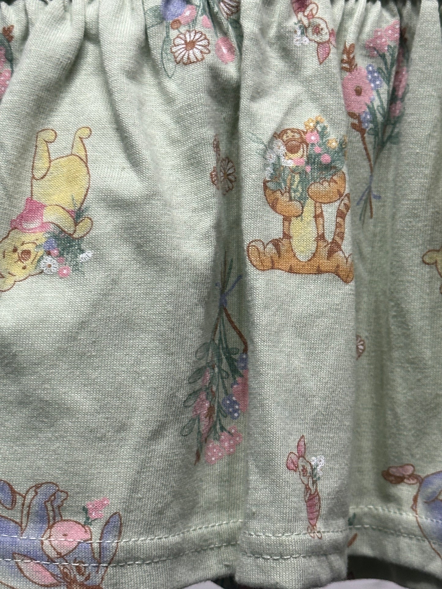 Girls Size 3-6m Disney Baby Winnie The Pooh and Friends Light Green Dress - Good Used Condition