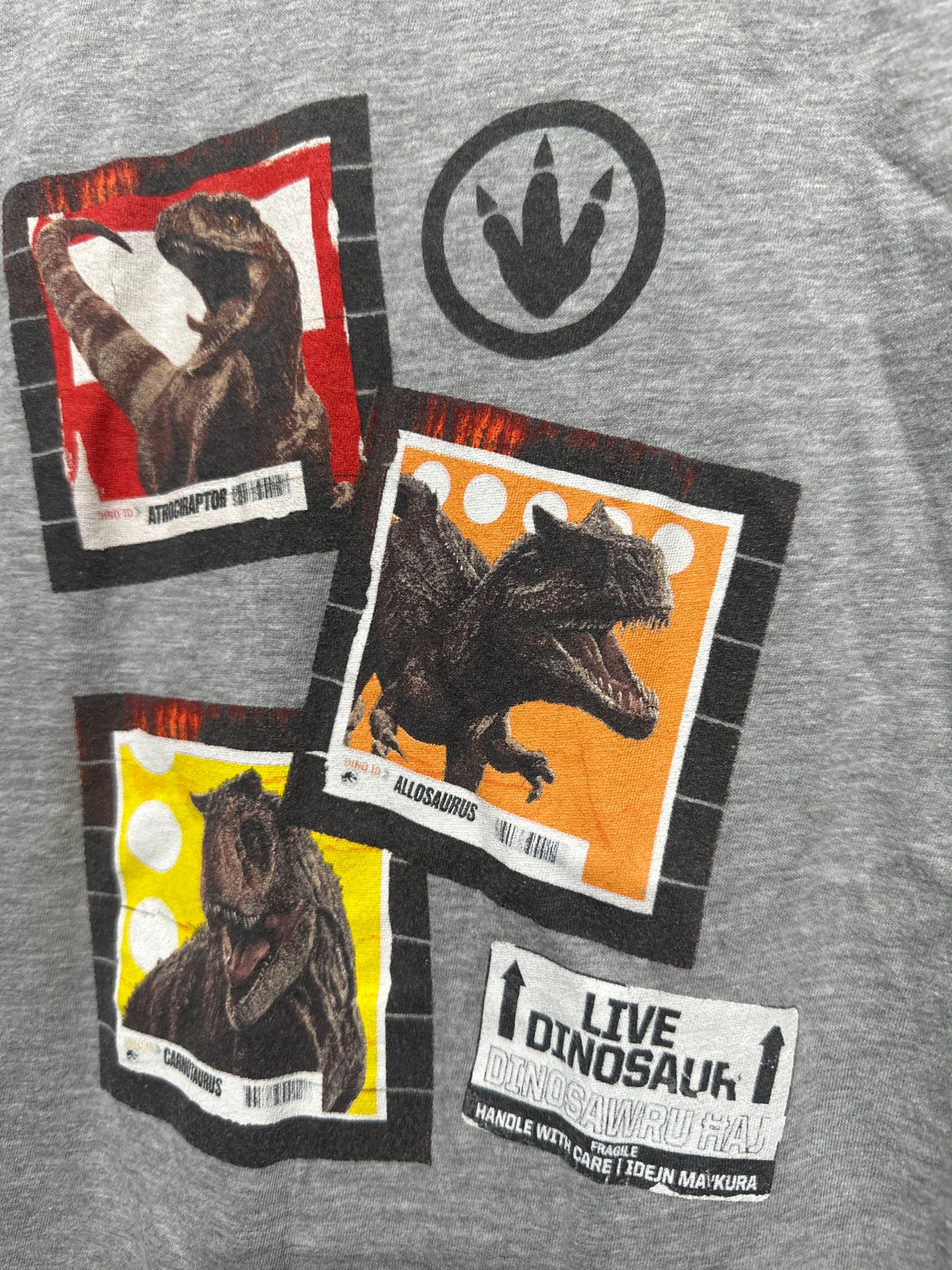 Size Small (Youth) Jurassic World Universal Studios T-Shirt - Good Used Condition