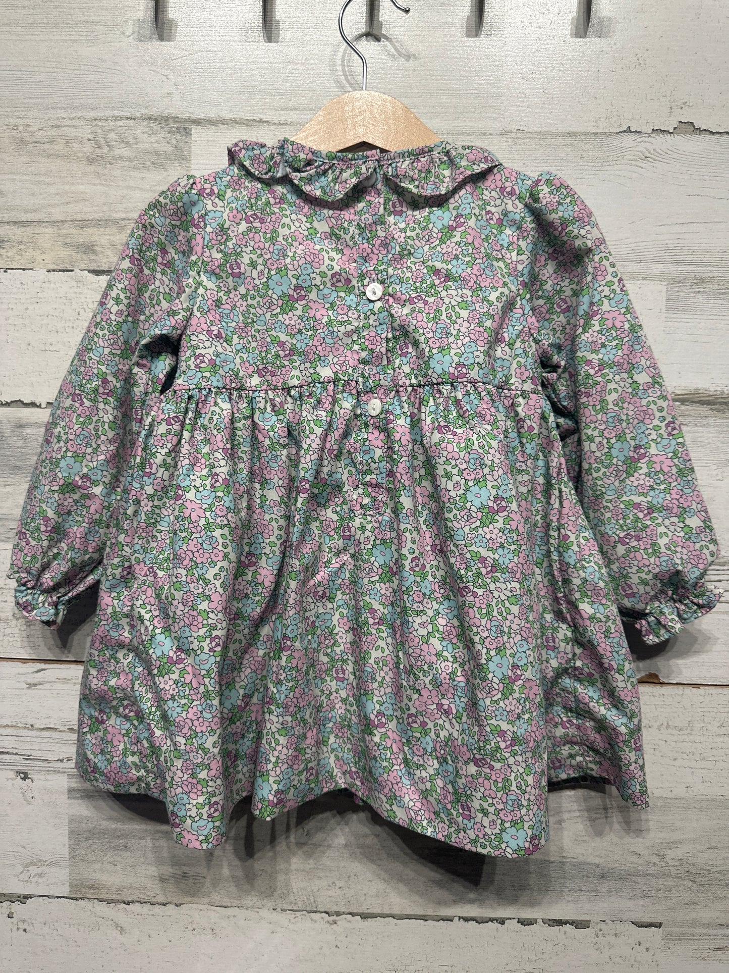 Girls Preowned Size 3t Cecil and Lou Smocked Floral Dress - Very Good Used Condition