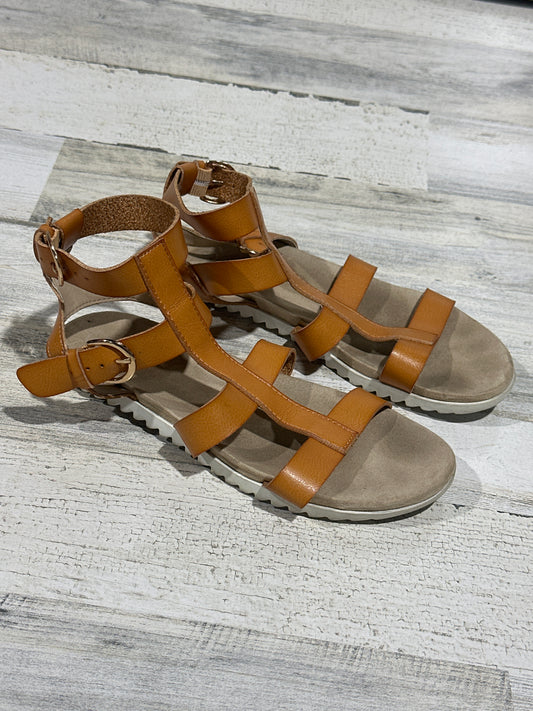 Size 4 (Youth) Cat & Jack Brown Sandals - Good Used Condition