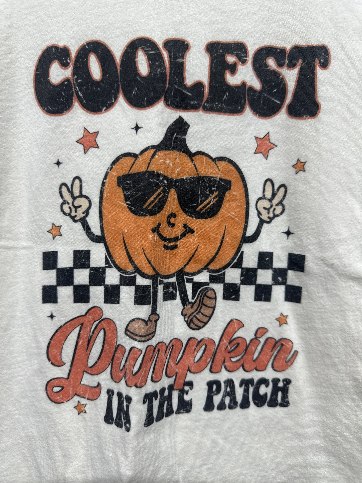 Size Small (6-8) Coolest Pumpkin in The Patch T-Shirt - Very Good Used Condition