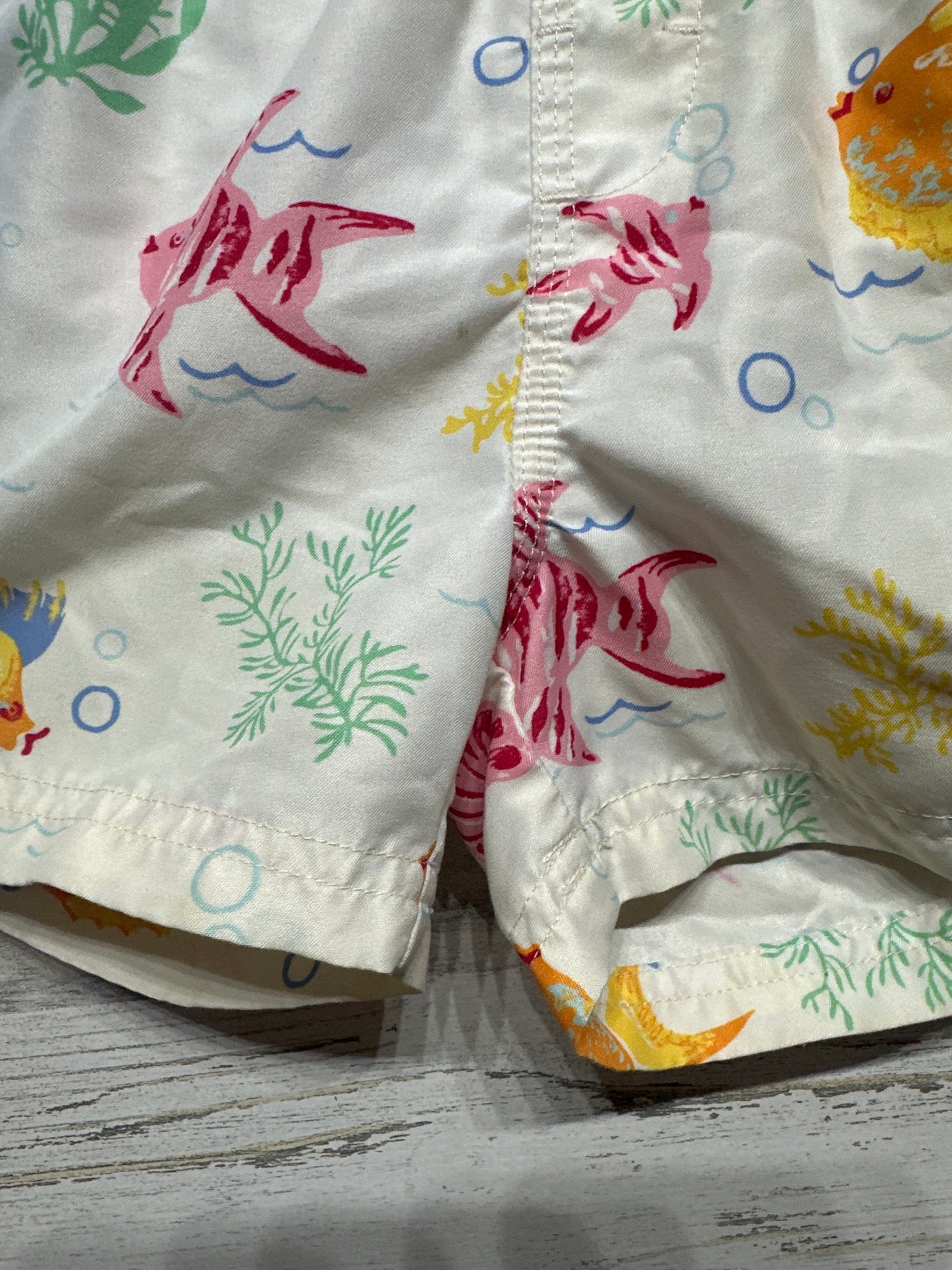 Size 4t TBBC Fish Swim Trunks - Play Condition*