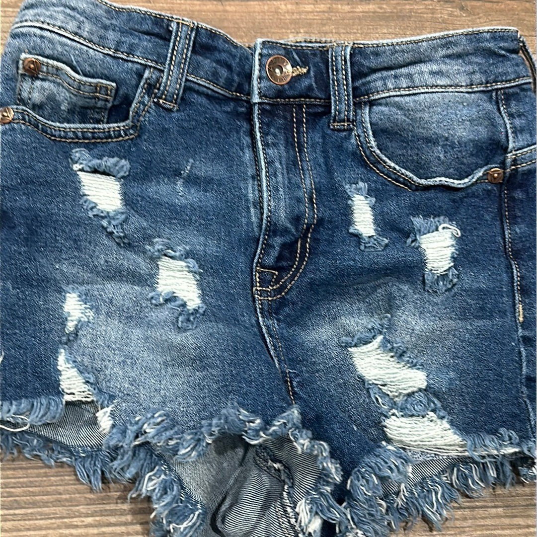 Ariya Distressed Denim Shorts Women Size 3/26 Dark Blue Raw Hem Cut Off EUC1