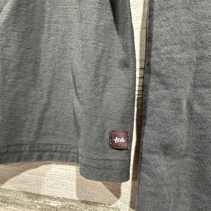 Tea Collection Zara Kids Outfit Size 6 Gray Mantis Tee Joggers Bugcore EUC4