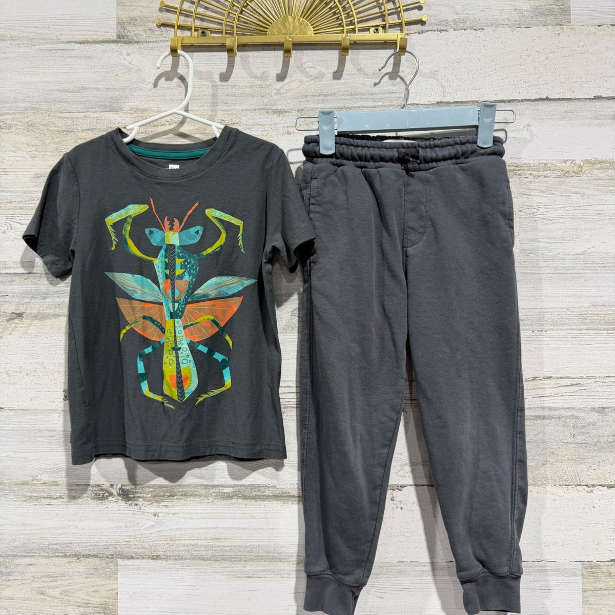 Tea Collection Zara Kids Outfit Size 6 Gray Mantis Tee Joggers Bugcore EUC0