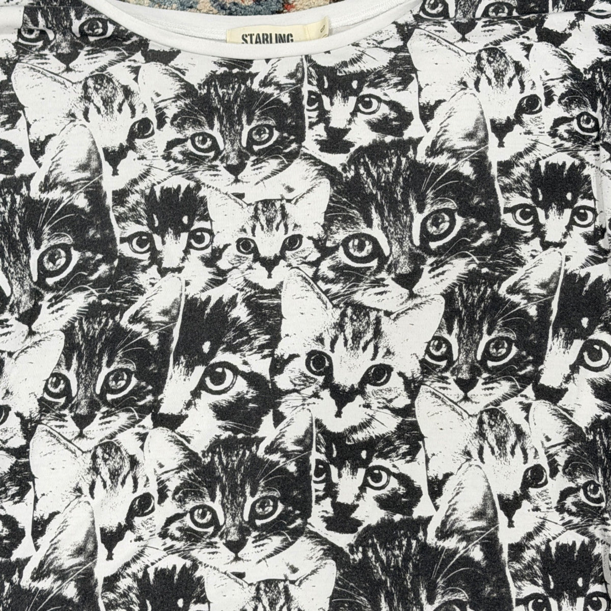 Starling Graphic Tee Women S White Black Cat Print Kitten Core EUC1