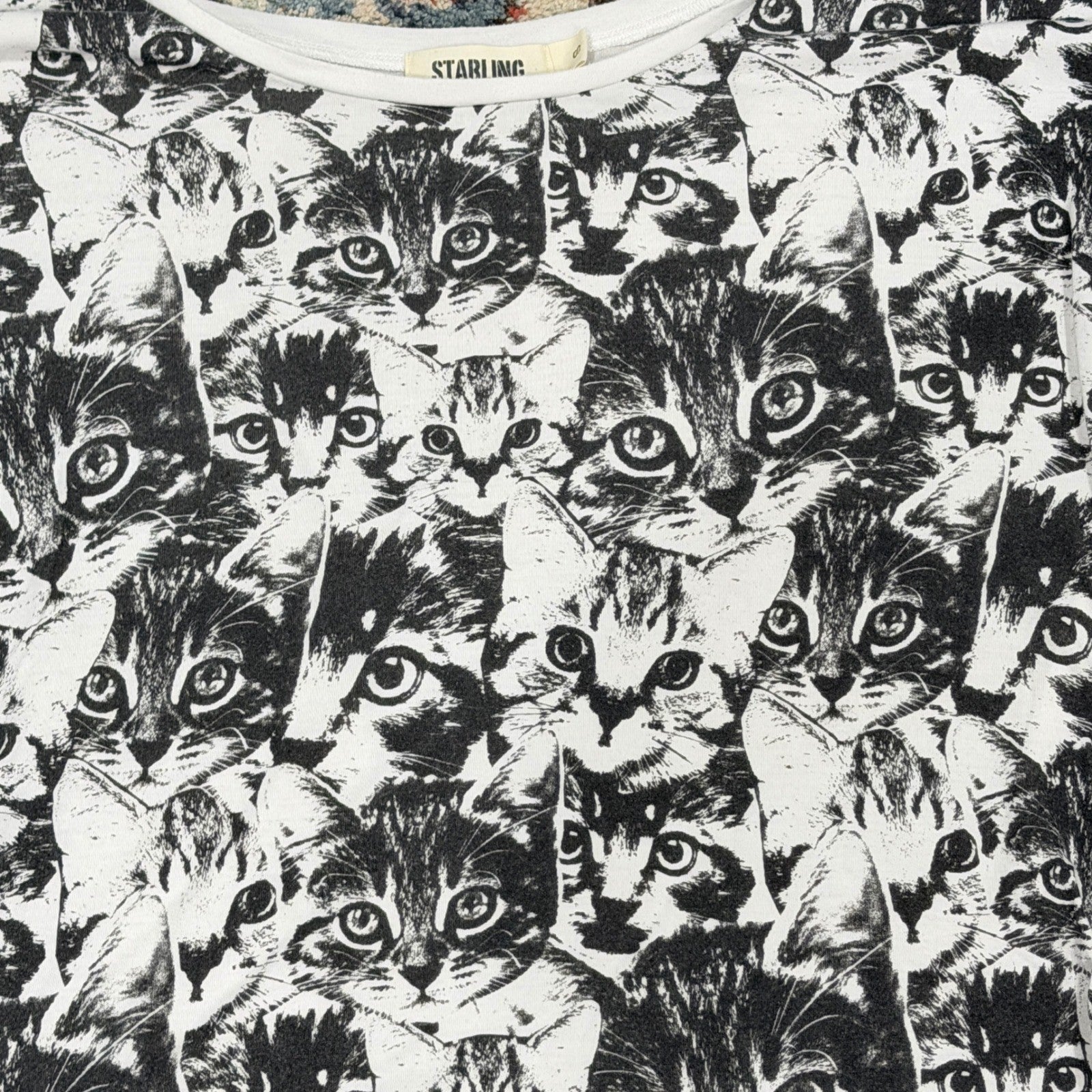 Starling Graphic Tee Women S White Black Cat Print Kitten Core EUC1