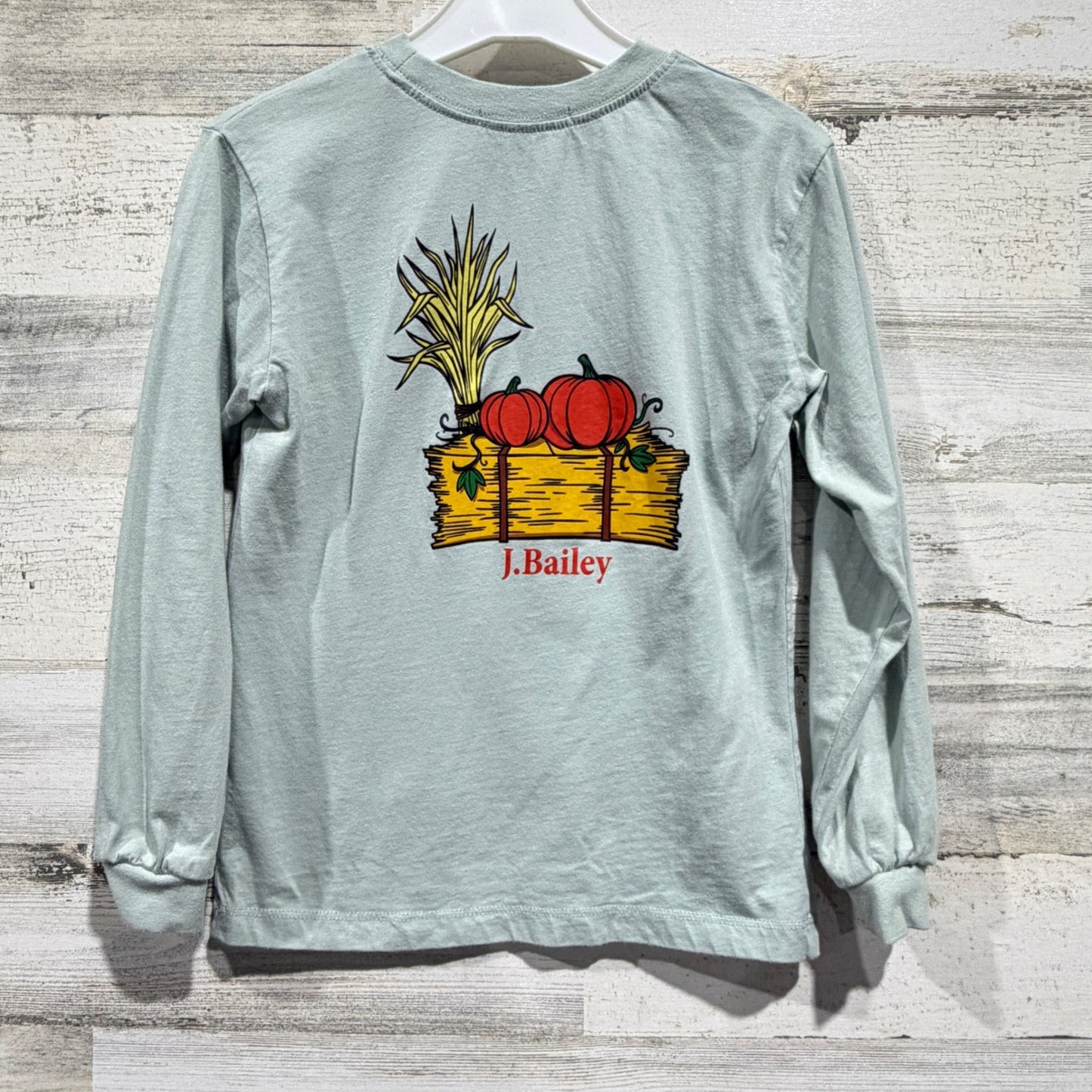 J. Bailey Long Sleeve Shirt Boys 6 Blue Pumpkin Hay Graphic Fall Prep *Flawed6