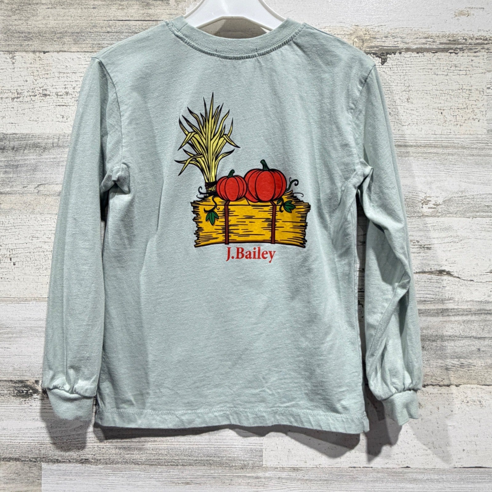 J. Bailey Long Sleeve Shirt Boys 6 Blue Pumpkin Hay Graphic Fall Prep *Flawed6