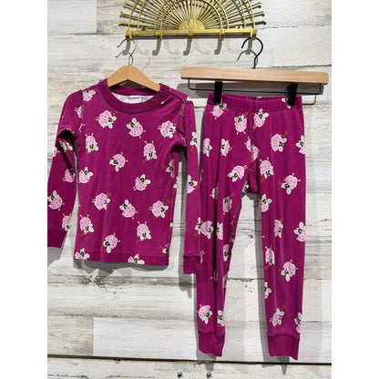 Hanna Andersson Pajamas Bundle Girls 4 Pink Fairy Disney Princess Nightgown5