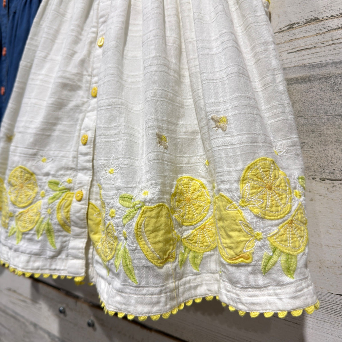 Etta Vee Gymboree Embroidered Dresses Girls 4T Blue White Cotton Summer Lot2