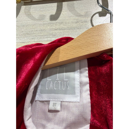 Lil Cactus Velvet Dress Girls 3T Ruffle Trim Holiday Christmas Classic EUC2