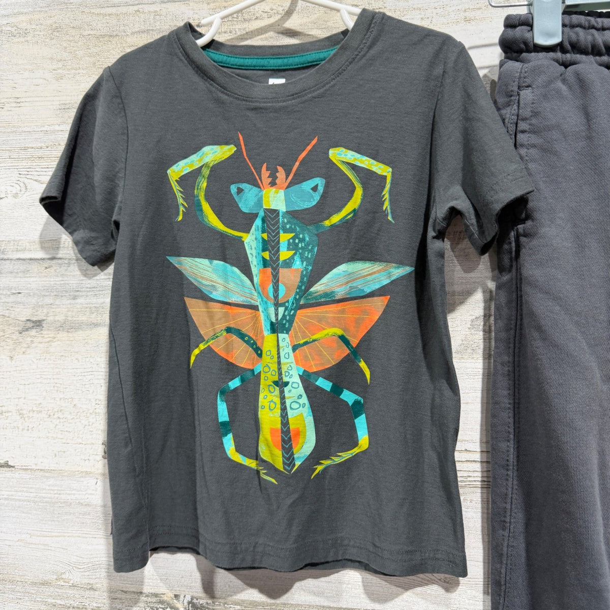 Tea Collection Zara Kids Outfit Size 6 Gray Mantis Tee Joggers Bugcore EUC1