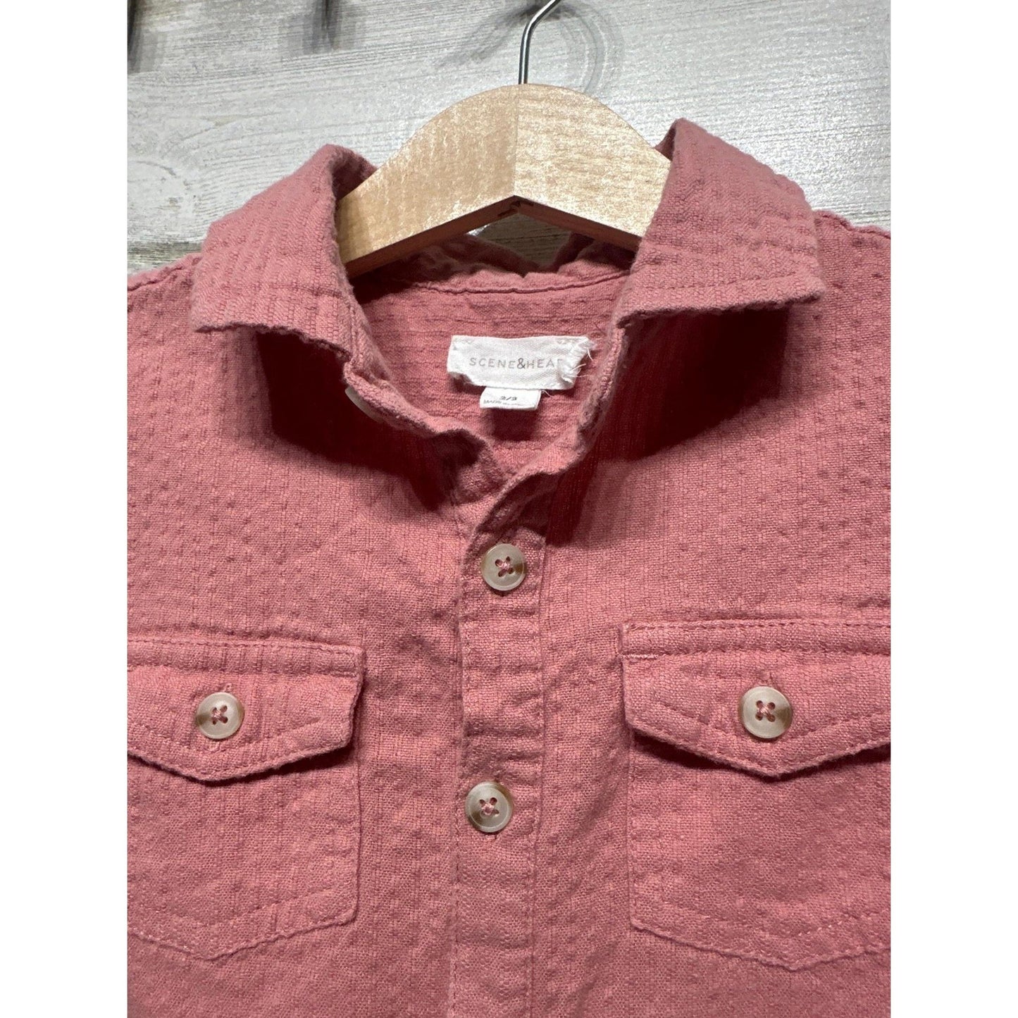 Scene & Heard Button Down Shirt Boys 2/3 Pink Textured Dobby Gauze EUC1