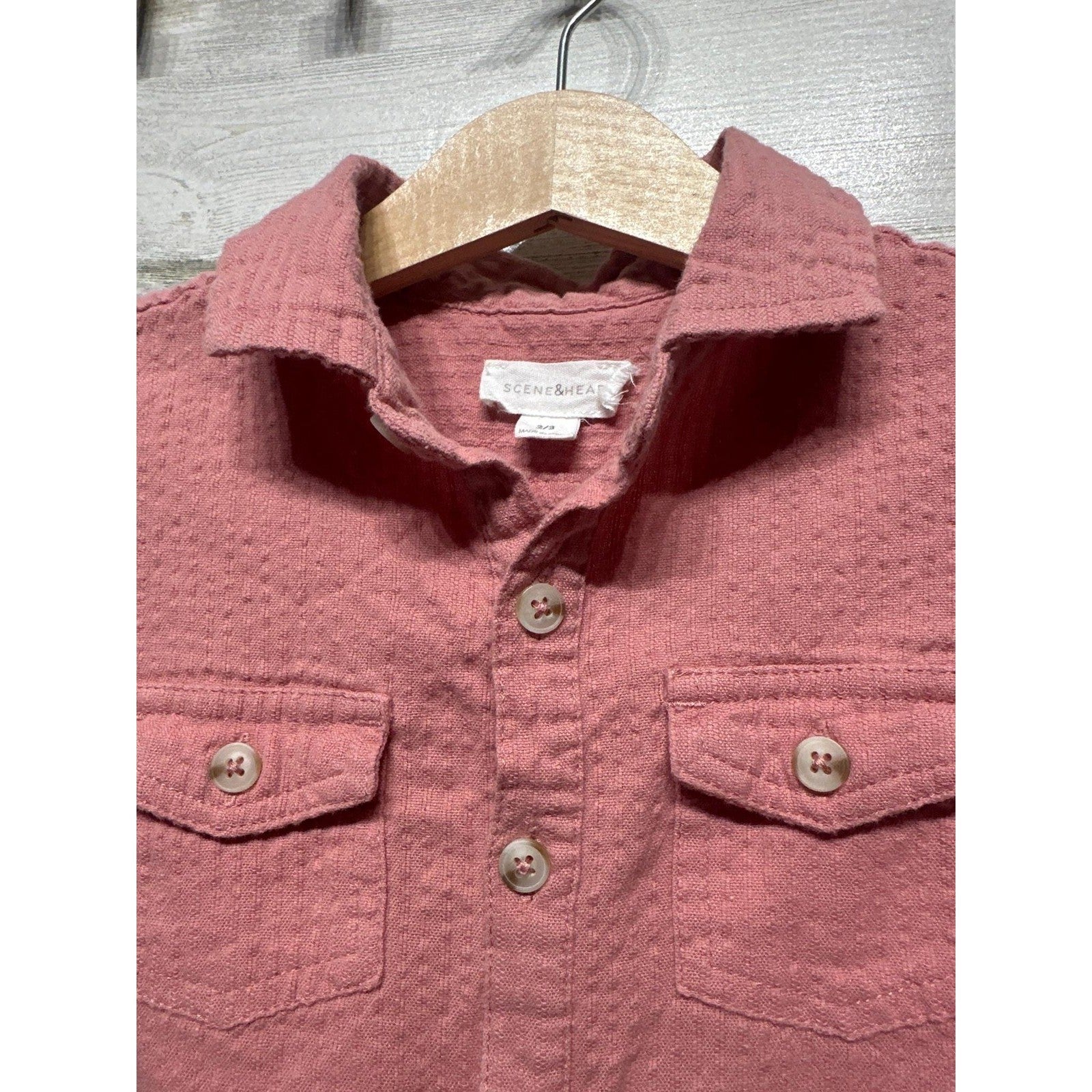 Scene & Heard Button Down Shirt Boys 2/3 Pink Textured Dobby Gauze EUC1