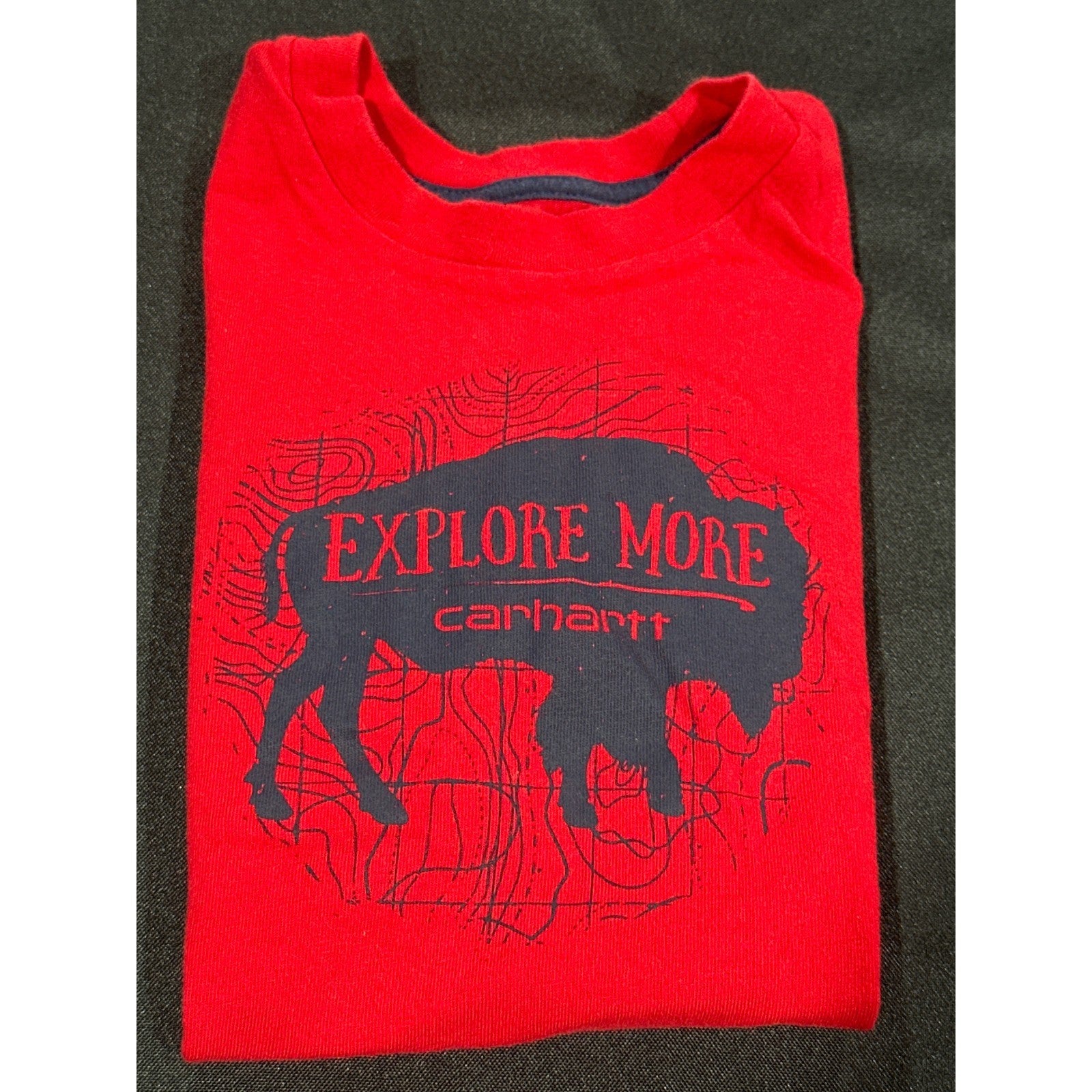 Carhartt Graphic T-Shirt Boys 4T Red Explore More Bison EUC0
