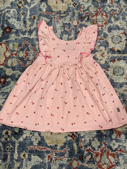 Modern Moments Dress Girls 3T Pink Strawberry Ruffle Flutter Sleeve EUC1