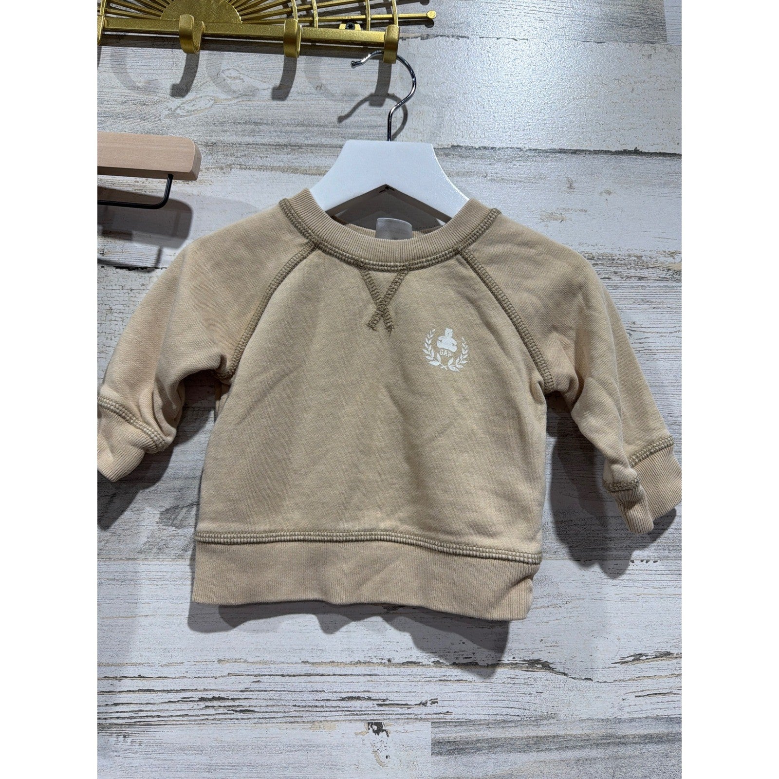 Baby Gap Sweatshirt Bundle Boys 3-6M Soft  Dinosaur Reversible EUC3