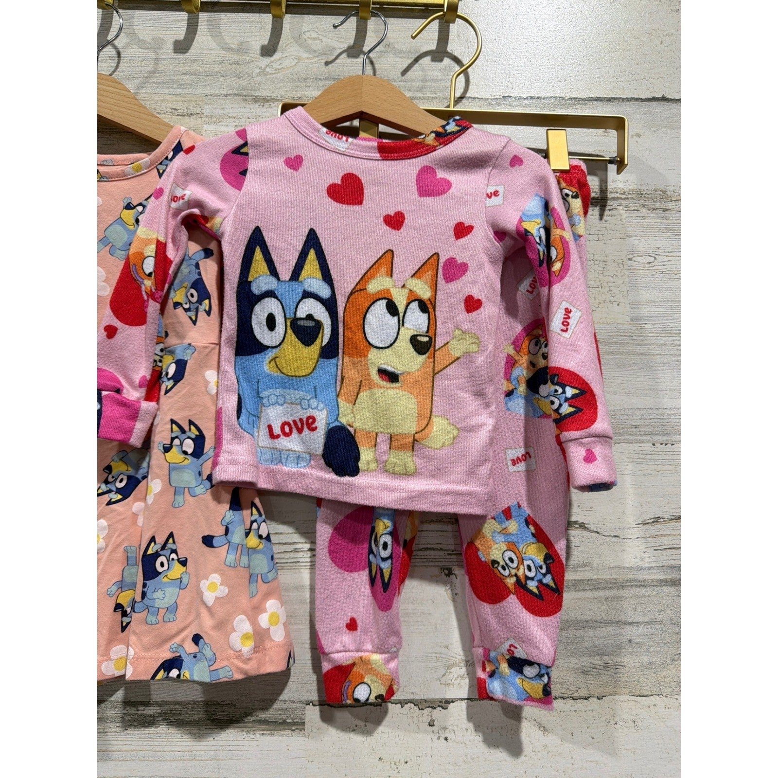 Bluey Sesame Street Garanimals Bundle Girls 2T Pink Blueycore EUC3