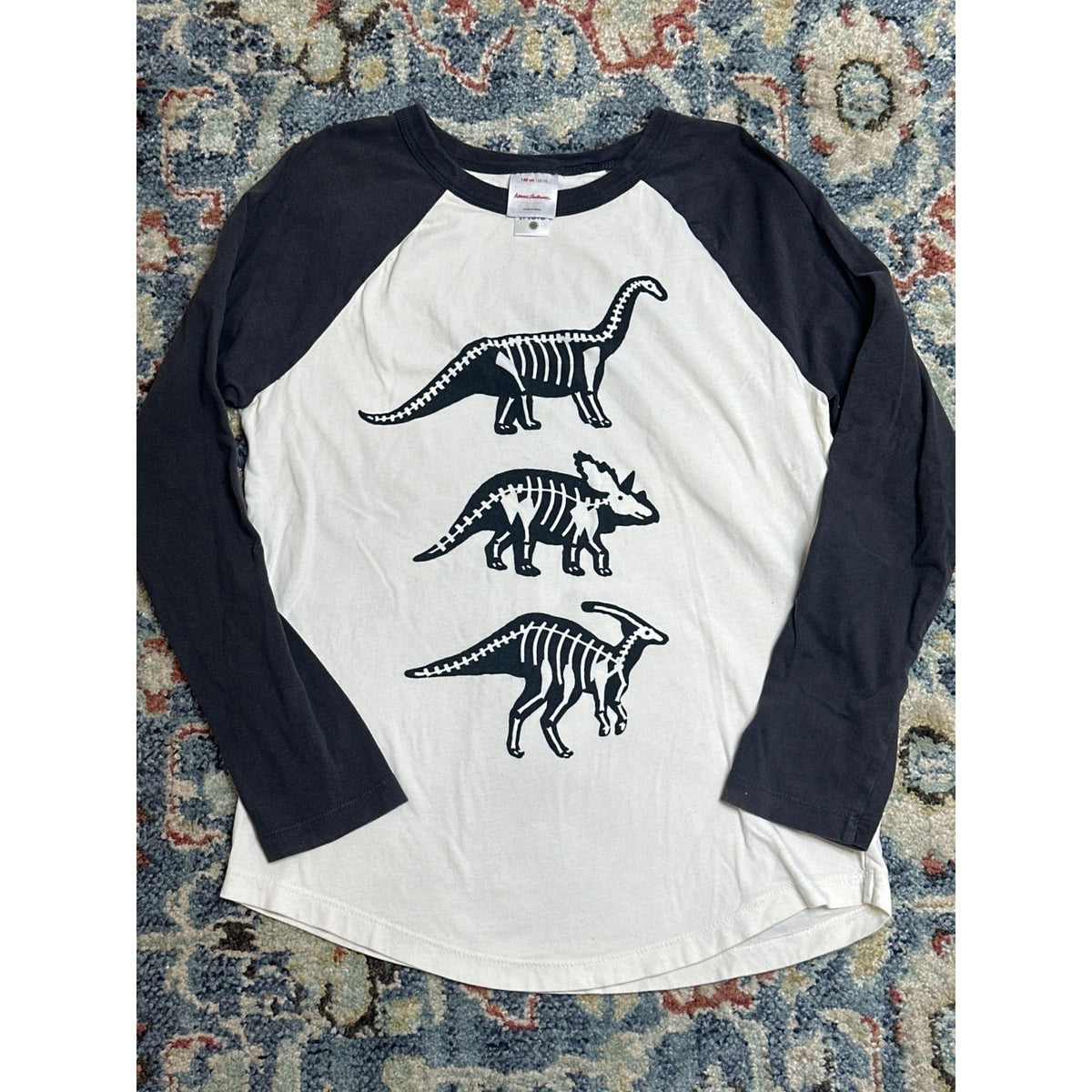 Hanna Andersson Raglan Tee Boys 10 Grey Cream Dinosaur Skeleton EUC0