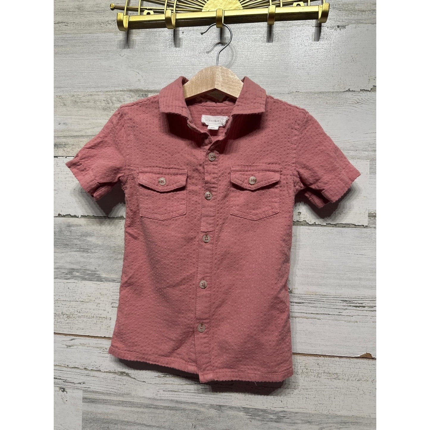 Scene & Heard Button Down Shirt Boys 2/3 Pink Textured Dobby Gauze EUC0