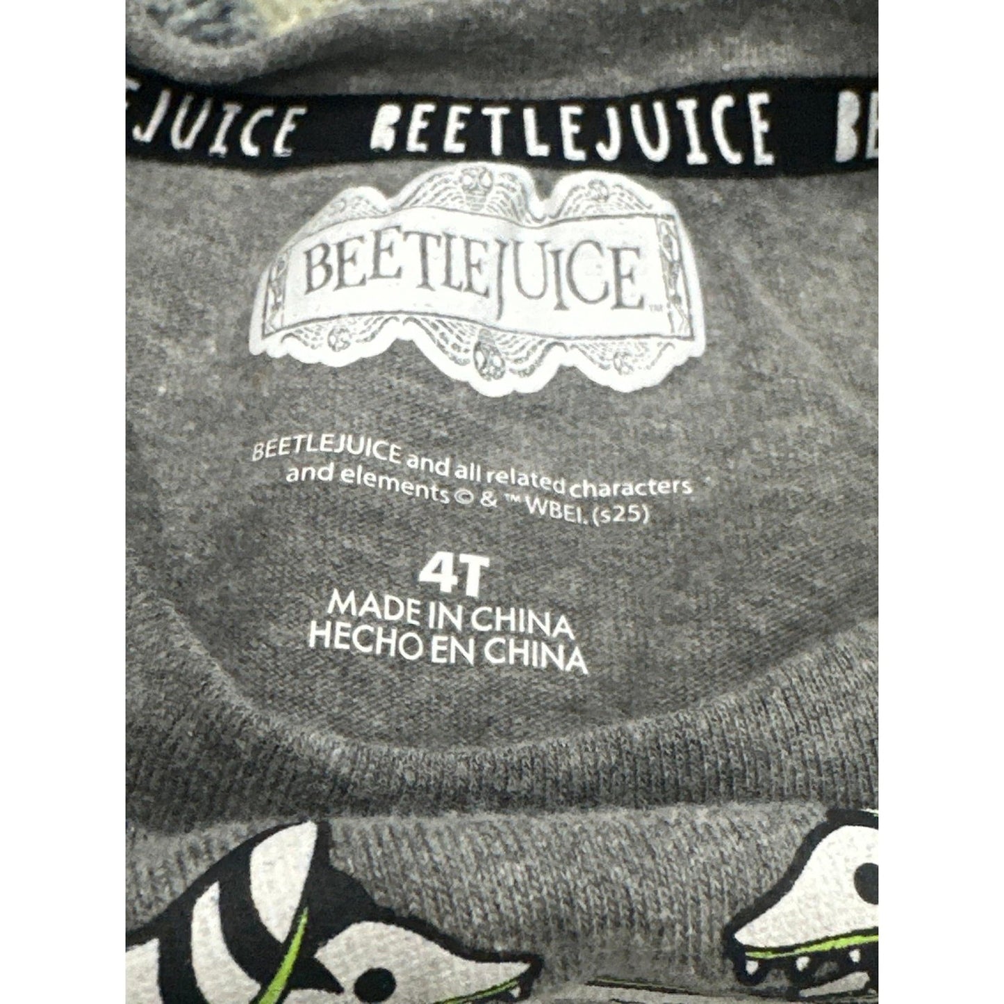 Beetlejuice 3pc Outfit Set Girls 4T Gray Green Striped Tutu Flare Pants GUC4