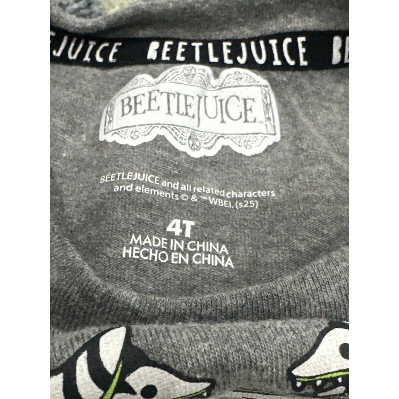 Beetlejuice 3pc Outfit Set Girls 4T Gray Green Striped Tutu Flare Pants GUC4