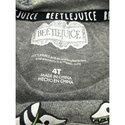 Beetlejuice 3pc Outfit Set Girls 4T Gray Green Striped Tutu Flare Pants GUC4