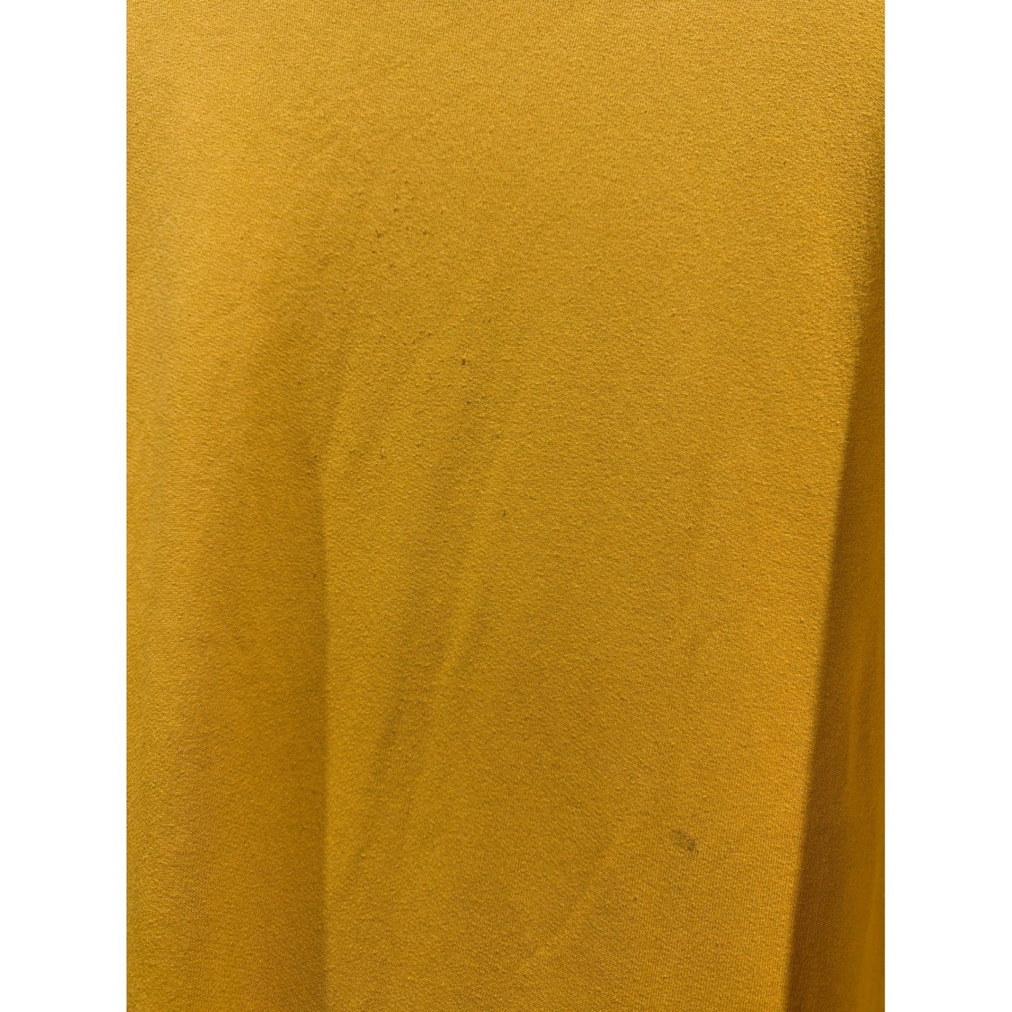 Disney Winnie the Pooh Sweatshirt Women XL Yellow Graphic Crewneck GUC4