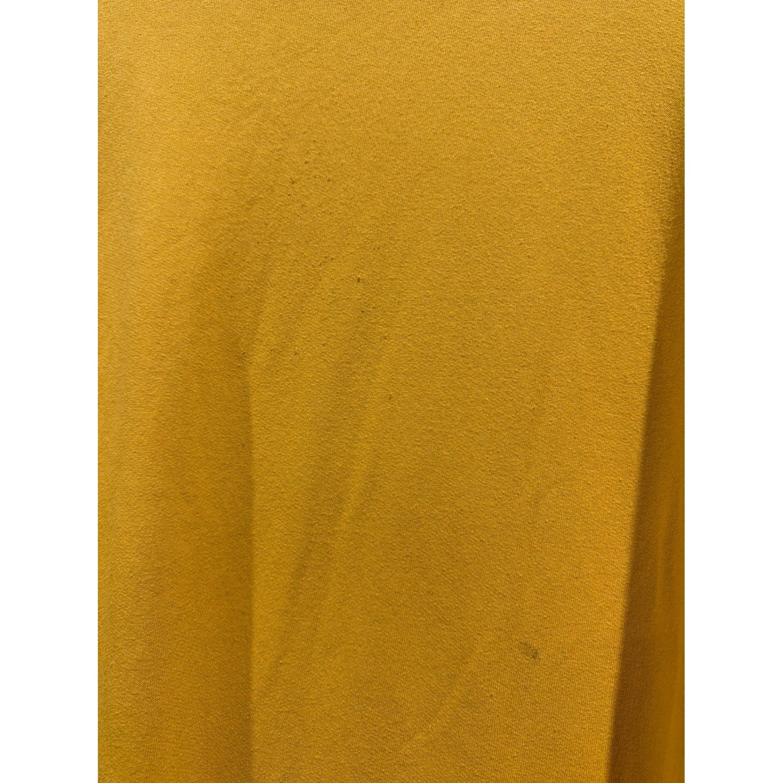 Disney Winnie the Pooh Sweatshirt Women XL Yellow Graphic Crewneck GUC4