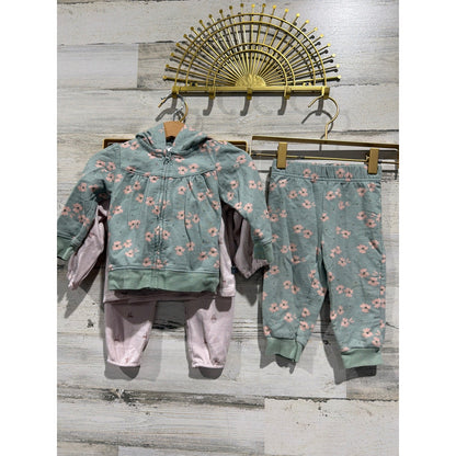 12M Girls BundleCarter's Child of Mine Modern Moments Pink Green Floral3