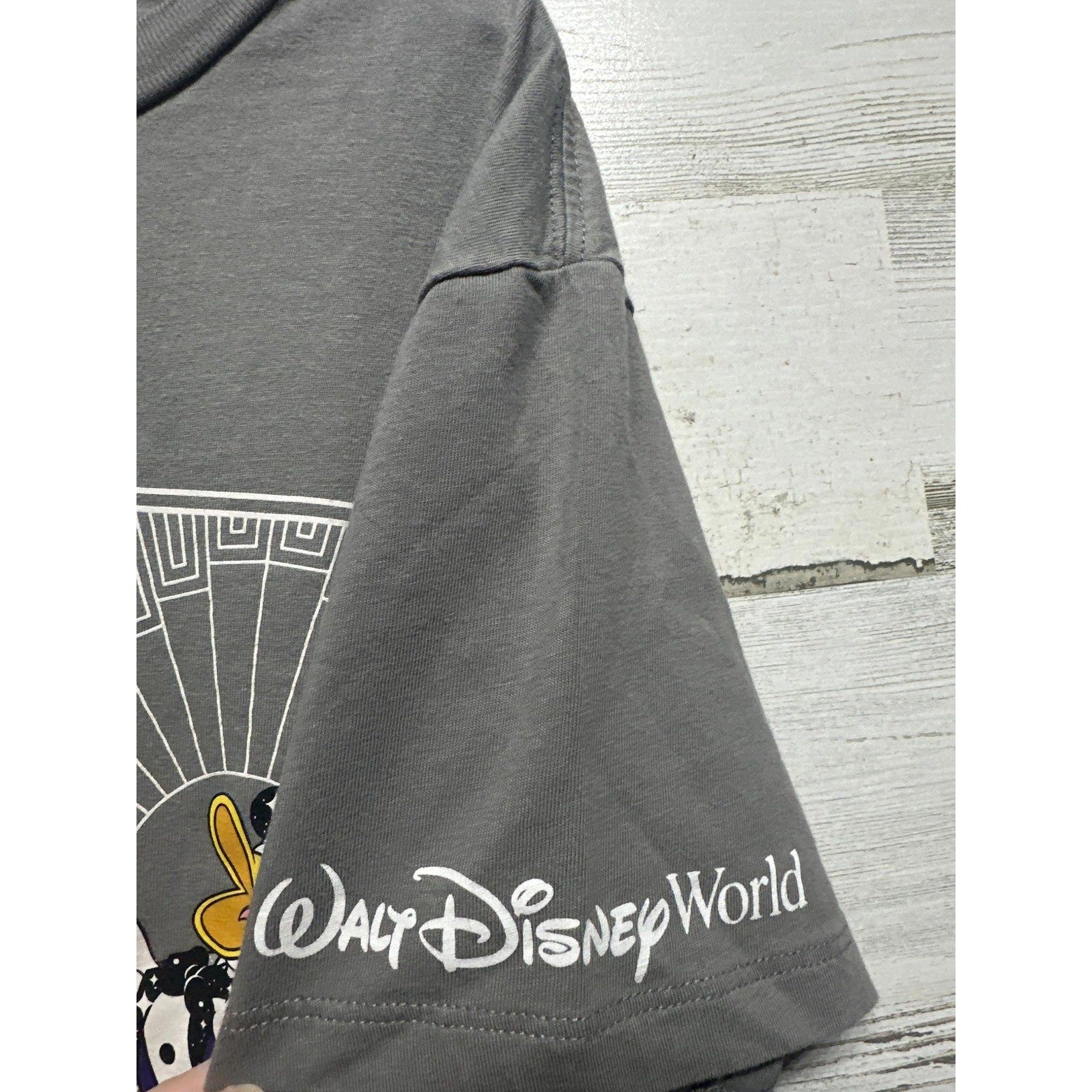 Disney Graphic T-Shirt Youth Medium Gray 100th Anniversary Mickey Goofy EUC2