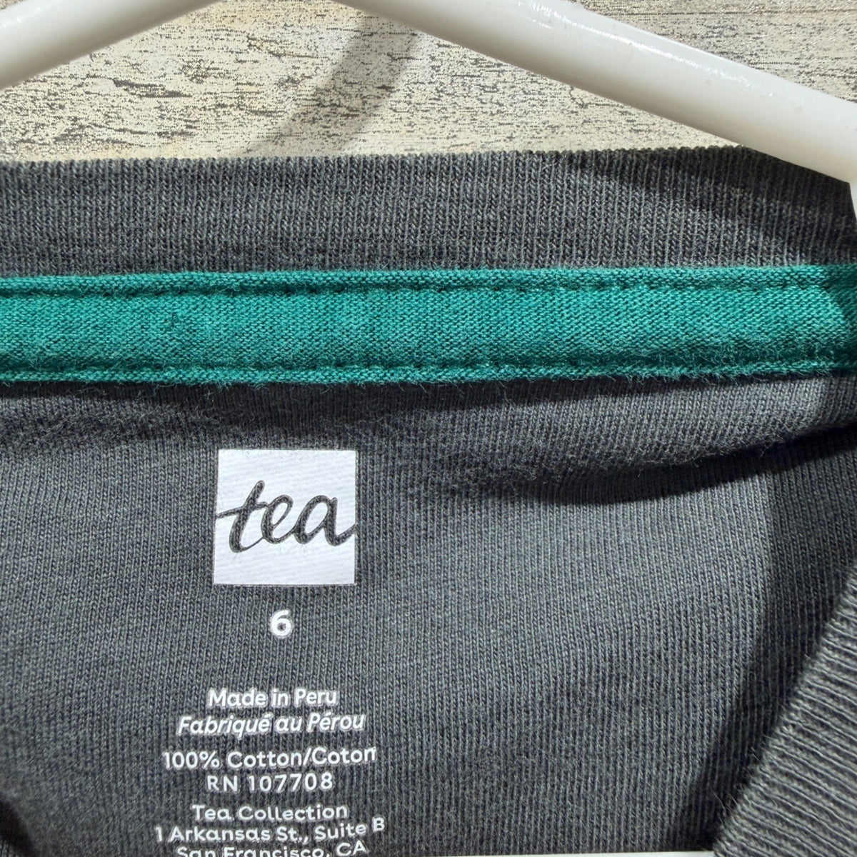 Tea Collection Zara Kids Outfit Size 6 Gray Mantis Tee Joggers Bugcore EUC5
